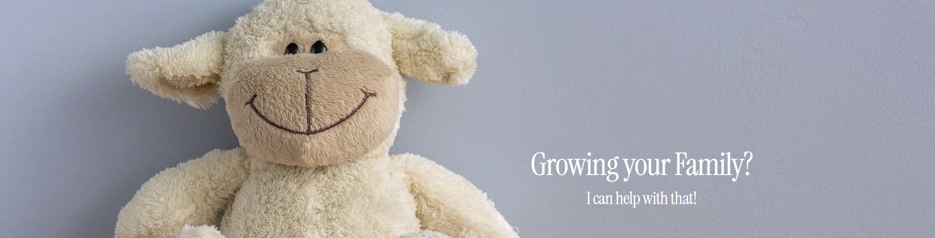 south-worth-law-cover