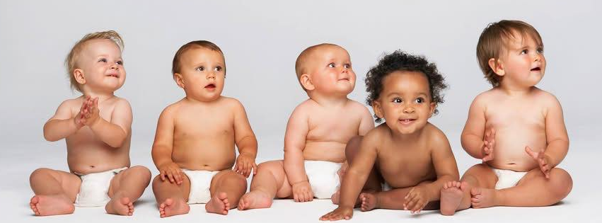 the-surrogacy-law-center-cover