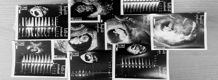 family-beginnings-p-c-cover