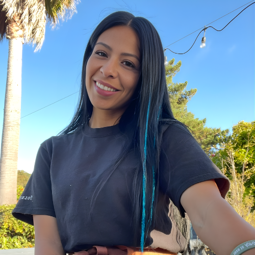 ES20263509 - Surrogate