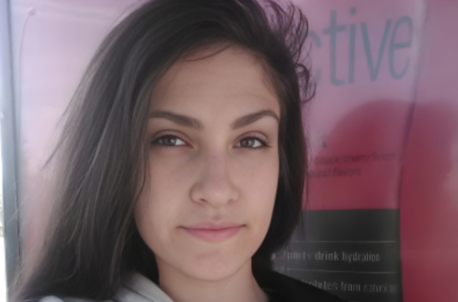 ES20263513 - Surrogate