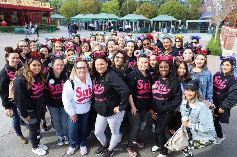 surrogate-alternatives-inc-sai-cover