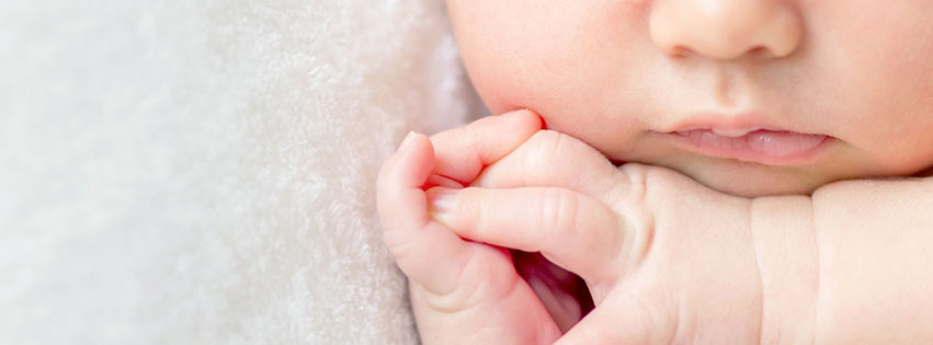 eggceptional-fertility-cover