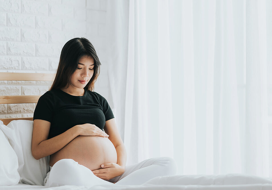 Harvest Babies Surrogacy