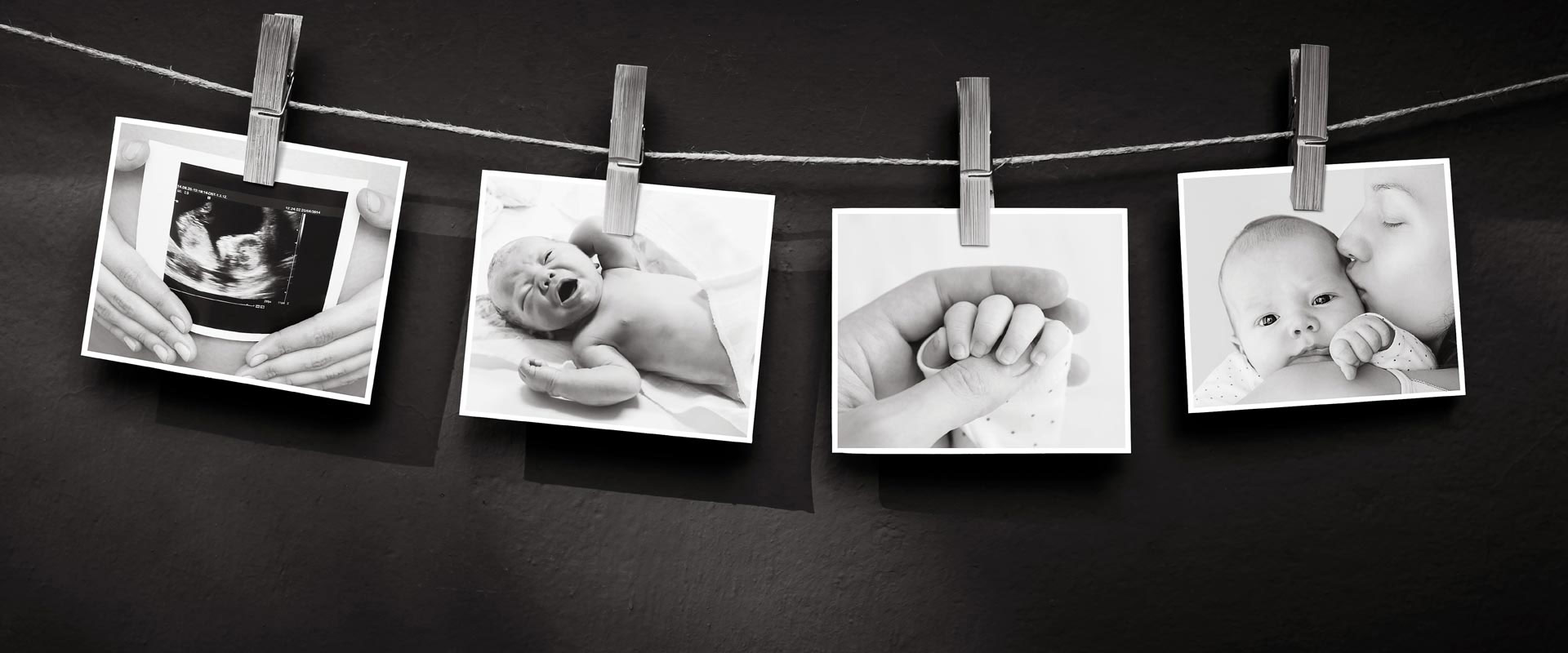 our-fairy-godmother-llc-cover