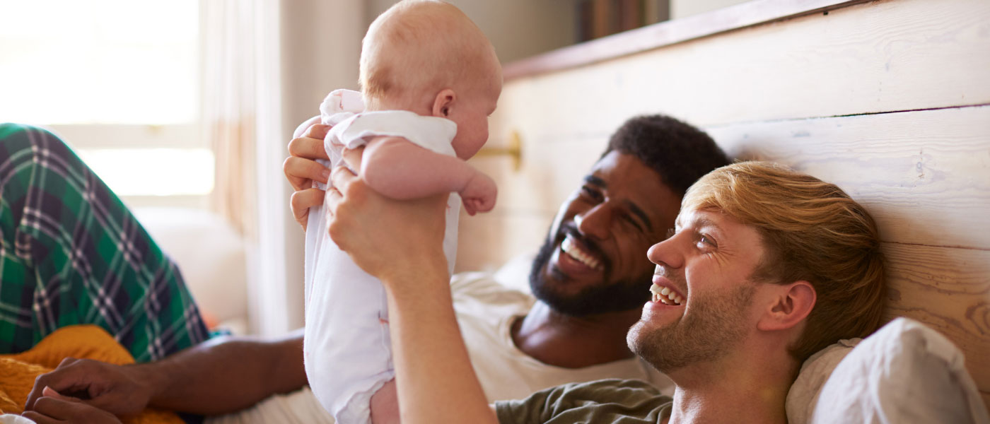 the-law-office-of-amira-hasenbush-cover