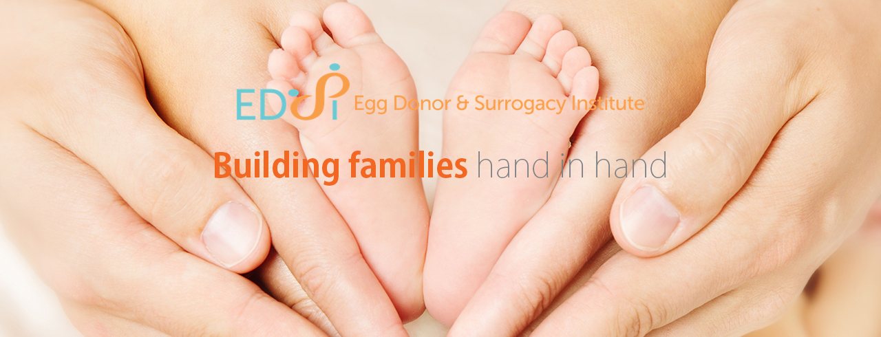 egg-donor-surrogacy-institute-cover