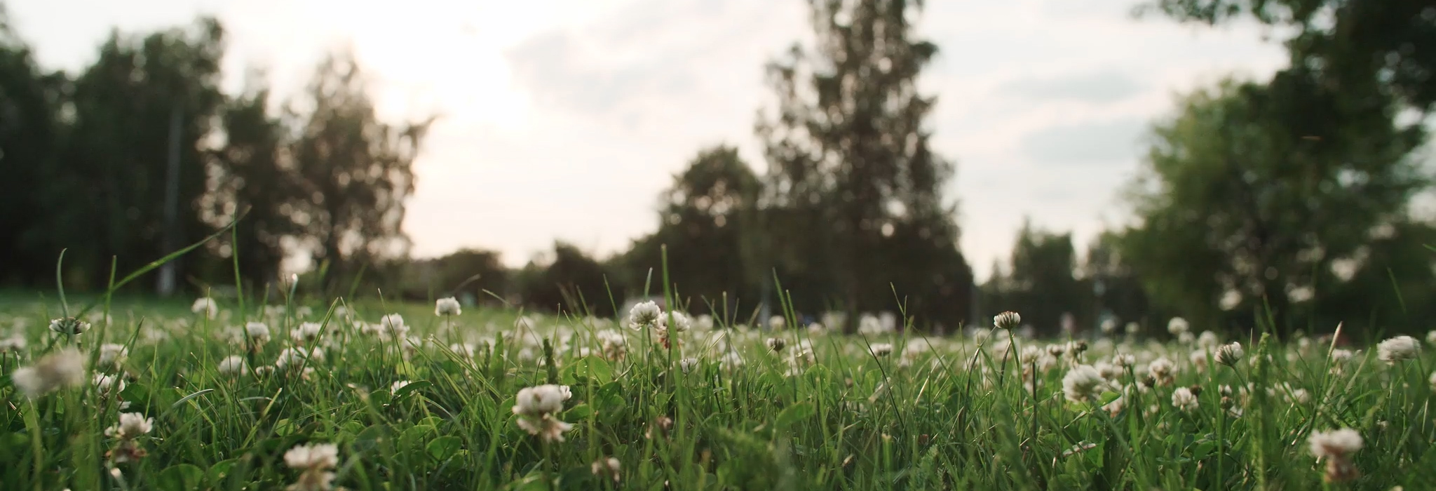 tennessee-reproductive-medicine-cover