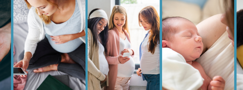 the-surrogate-s-corner-pllc-cover