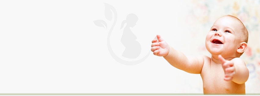 creative-conception-inc-cover