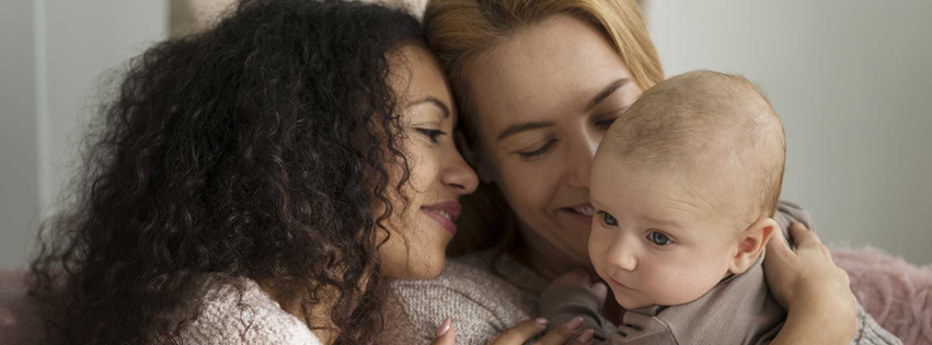 seeds-exclusive-cover