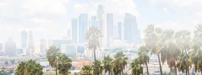 tree-of-life-center-cover