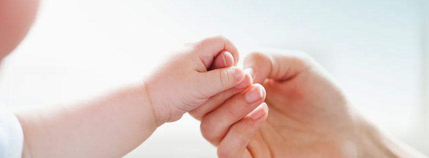 flying-stork-surrogacy-cover