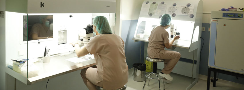 reproart-georgian-american-center-for-reproductive-medicine-cover