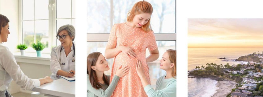 new-life-surrogacy-cover