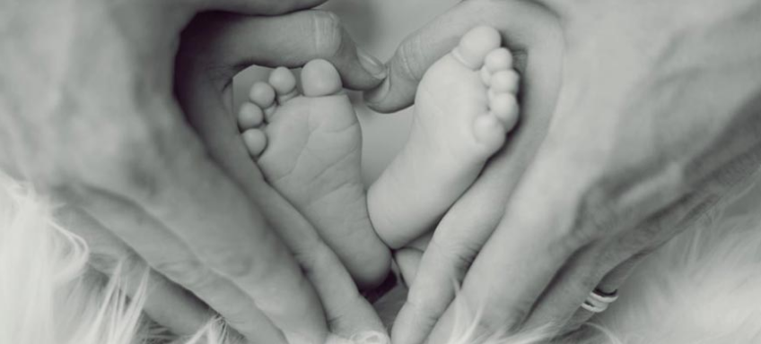 happy-beginnings-llc-cover