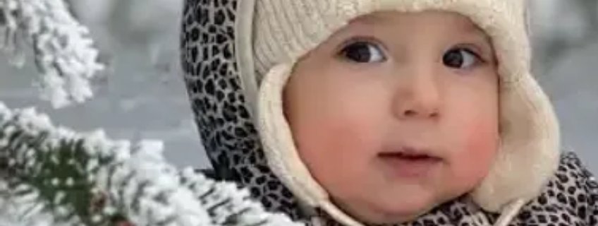 embryo-solution-cover