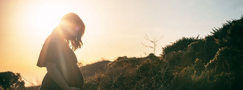 the-surrogacy-collective-cover